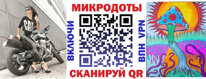хочу   Качканар  Псилоцибиновые грибы Cubensis 
